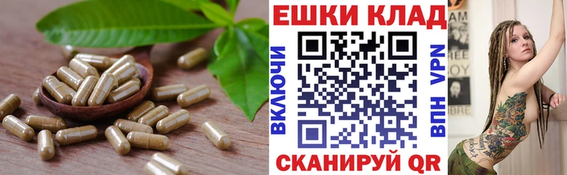 ЭКСТАЗИ бентли  Балаково 