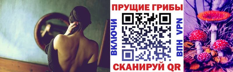 купить наркоту  Балаково  blacksprut рабочий сайт  Псилоцибиновые грибы GOLDEN TEACHER 